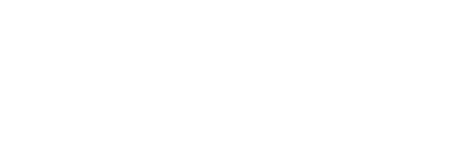 The Agency Journalss